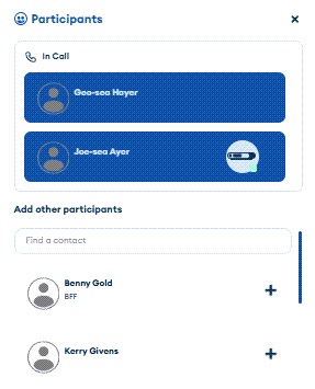 HSPortal_During_Call_Participants_Add_List.png